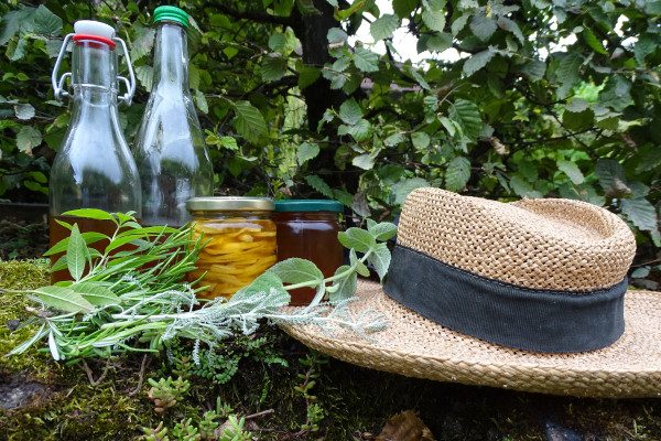 © VIsite Secrets de plantes médicinales - Jardin des Cinq Sens Yvoire