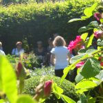 © Visite guidée commentée au Jardin des Cinq Sens - Jardin des Cinq Sens Yvoire