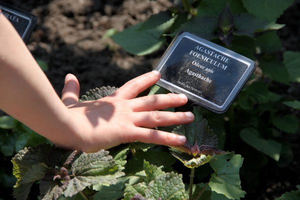 © Atelier du petit parfumeur pour enfants - Jardin des Cinq Sens Yvoire