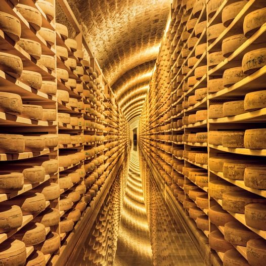 © Visite guidée des caves d'affinage du comté au Fort des Rousses - Fort des Rousses