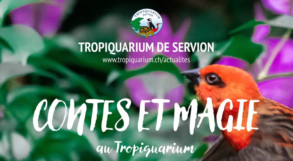 © Journée enchantée contes et magie au Tropiquarium de Servion - Tropiquarium