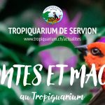 © Journée enchantée contes et magie au Tropiquarium de Servion - Tropiquarium