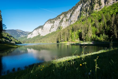 Vallée d'Aulps Tourisme - Bureau administratif