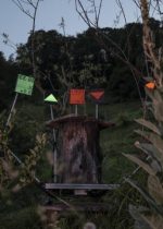 Exposition 'Jouer collectif !'