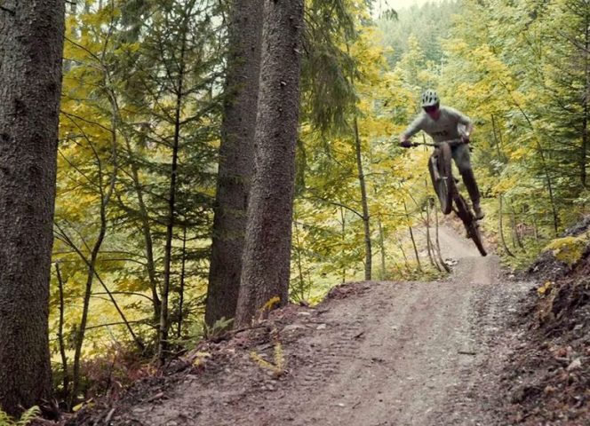 Pistes de VTT de descente au Moléson